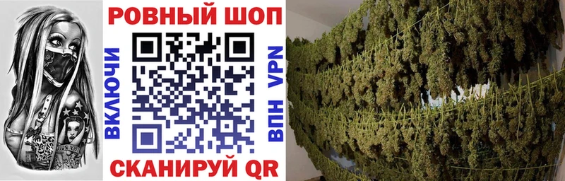 Где купить наркоту Старица КОКАИН  Кодеин  Alpha PVP  Псилоцибиновые грибы  ГАШИШ  Меф мяу мяу 
