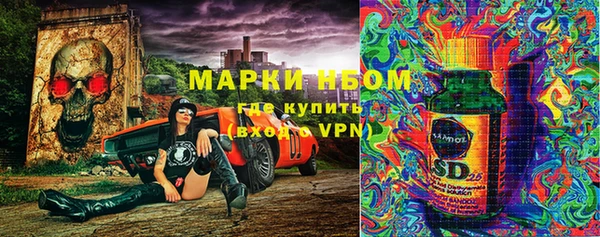 прущие грибы Нязепетровск
