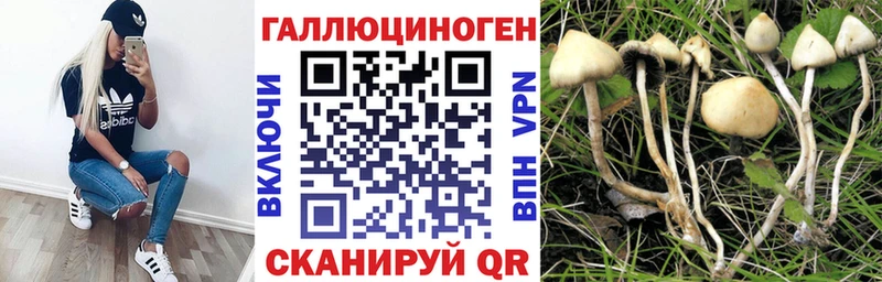 где продают наркотики  это официальный сайт  Псилоцибиновые грибы Cubensis  Старица  hydra маркетплейс 